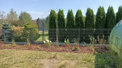 Ogrody Natury. Usługi ogrodnicze - Paweł Czuba